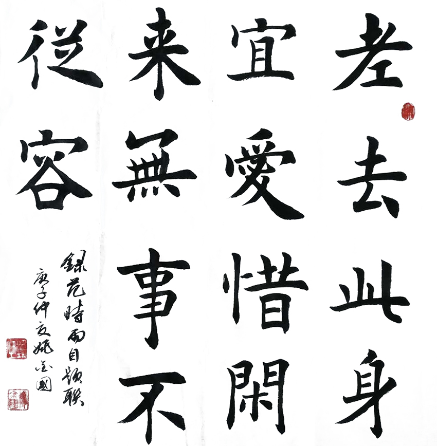 姚金国作品8《老去此身宜爱惜 闲来无事不从容》
